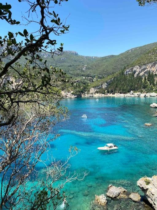 Caretta * Corfu (city)